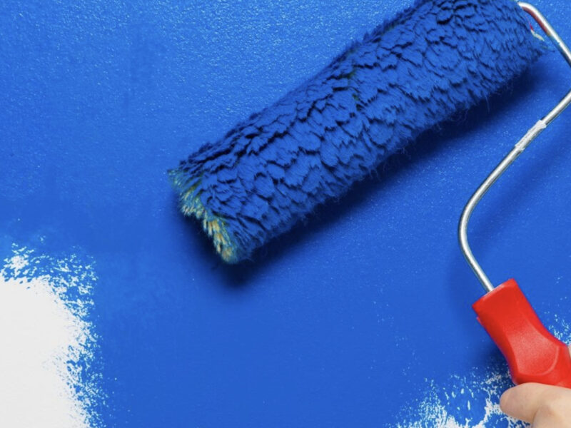 Bright Horizons for Paint Dealers: Unveiling the Industry's Most Crucial Needs